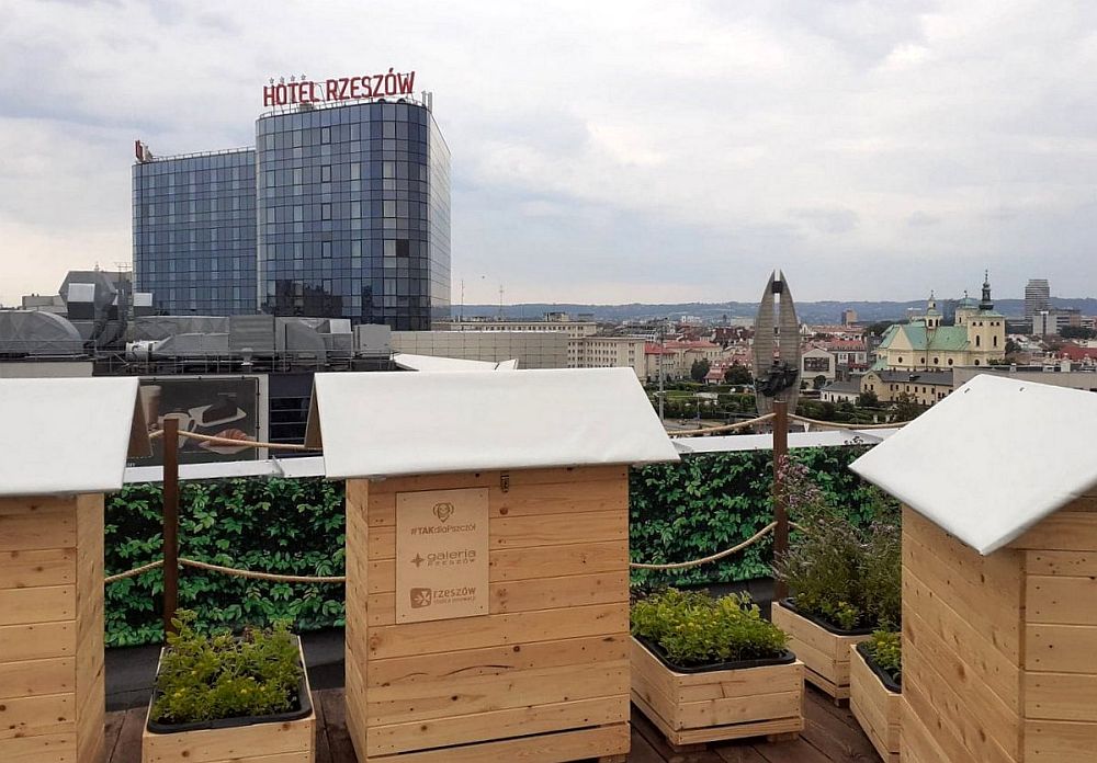 pasieka galeria rzeszów dach pszczoły tak dla pszczół