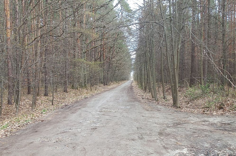 nowa droga podwolina zalew przez las