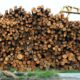 drewno opałowe cena sprzedaż