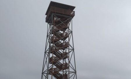 desznica wieża widokowa nowy żmigród