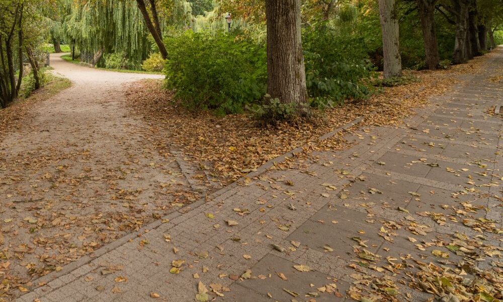 Park w Urzejowicach przejdzie rewitalizację. Powstaną alejki, oświetlenie i nowa mała architektura